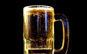 Beer Mug