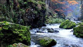 Cool Mountain Stream