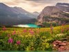 High Mountain Lake Flowers