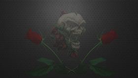 Skulls and Roses Black Bootskin Pro