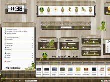 Wincustomize 1