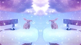 Snow Bunnies