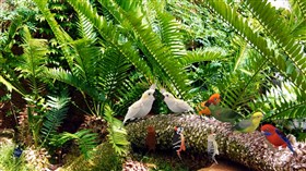 Birdie Jamboree