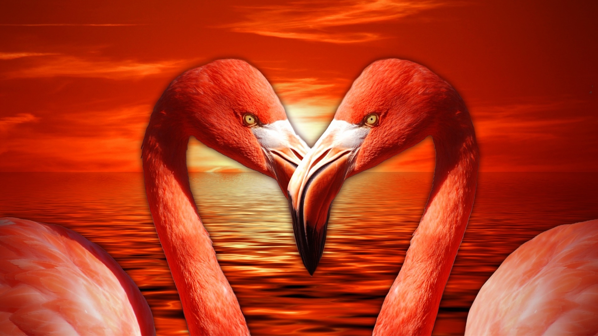 Фламинго сердце