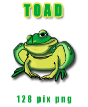 Toad