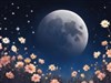 Mays Flower Moon