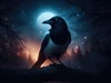 The Magpie by: JanOscar