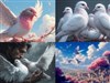 Love of Doves
