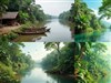 The Amazon by: LightStar