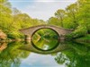 Augusta Bridge by: LightStar