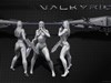 Valkyrie Promo wall by: neone6