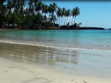 sunny beach
