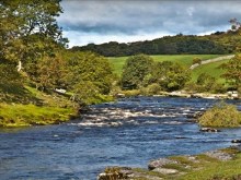 Autumn Creek Scenery