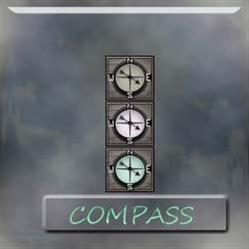 Compass8