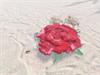 Hornytoad love at Rose Rock by: I.R. Brainiac