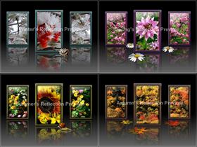 Seasons'  Reflections Wall Pack