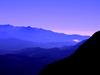Up on Saddle Mountain by: mkberry