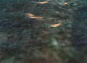 coral_reef