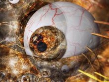Orgeye Remix 5