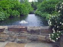 River Scene