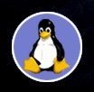 Generic Linux Zoomer