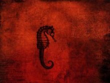 Red Sea Dragon