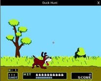 Duck Hunt