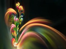 Flowerings 79 by love1008