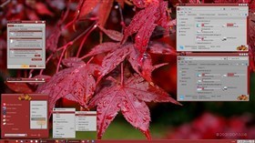 Fall Red