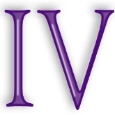 IrfanView Icon