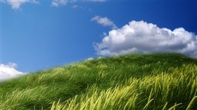 Dreaming with Open Eyes