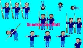 Snooker cue Matt