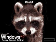 Bandit - Rocky Raccoon Edition XP