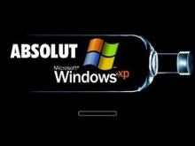 absolut windows