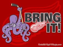 Detroit Red Wings Fun