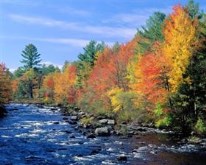 Autumn Colors ii