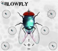 Blowfly