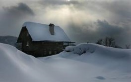 Snowed In