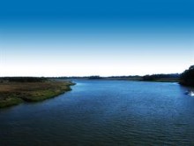 Marsh at Tybee Island