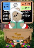 Beardows Weather Thanksgiving Addon