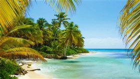 Gorgeous_Caribbeanl_Island