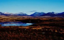 Highland Morning
