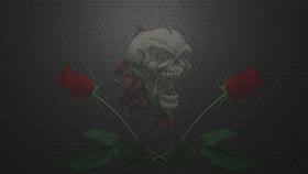 Skulls and Roses Black Bootskin Pro