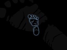 foot