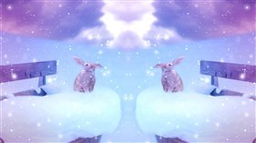 Snow Bunnies
