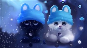 Kitten Yin Yang