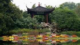 Asian Garden Pond