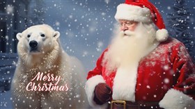 4K Santa Bear