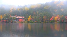 Morning on the Lake