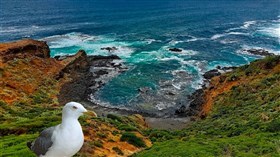 Cape Schanck